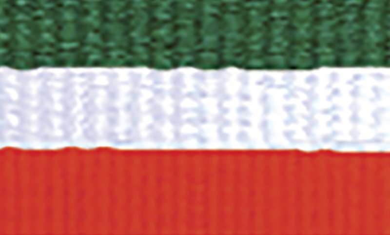 orginal_1065gn-wh-or.jpg